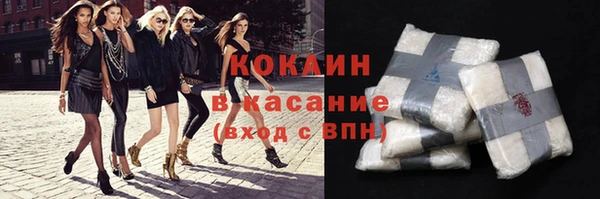 соль ск Алексин