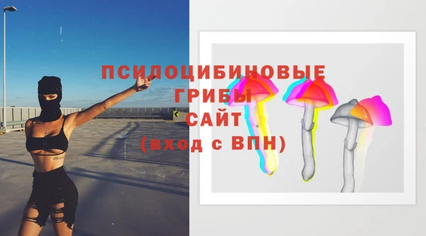 соль ск Алексин