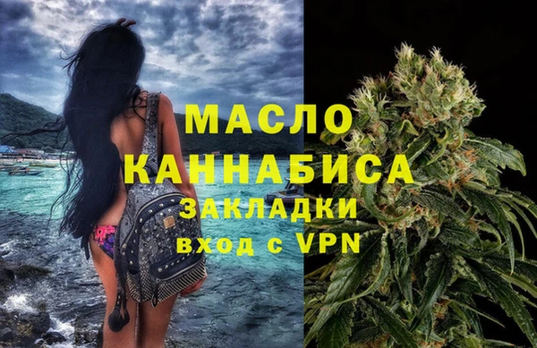 гашик Дмитровск