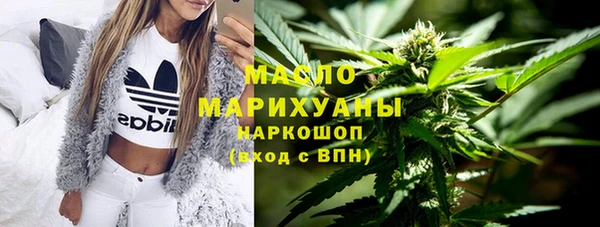 соль ск Алексин