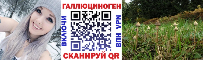 Галлюциногенные грибы Cubensis  Константиновск 